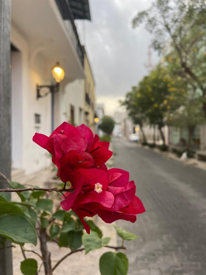 Vbermor Hotel Santo Domingo Exterior foto